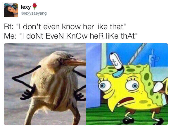 Mocking SpongeBob meme showing a bird beside SpongeBob with an alternating-case caption